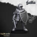 Freeguild Steelhelms / Swordsman / Man-at-Arms